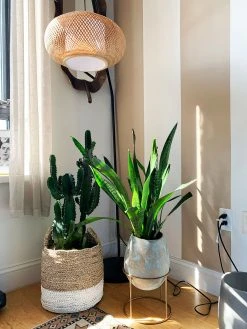 Surya Raveena Vase Planters