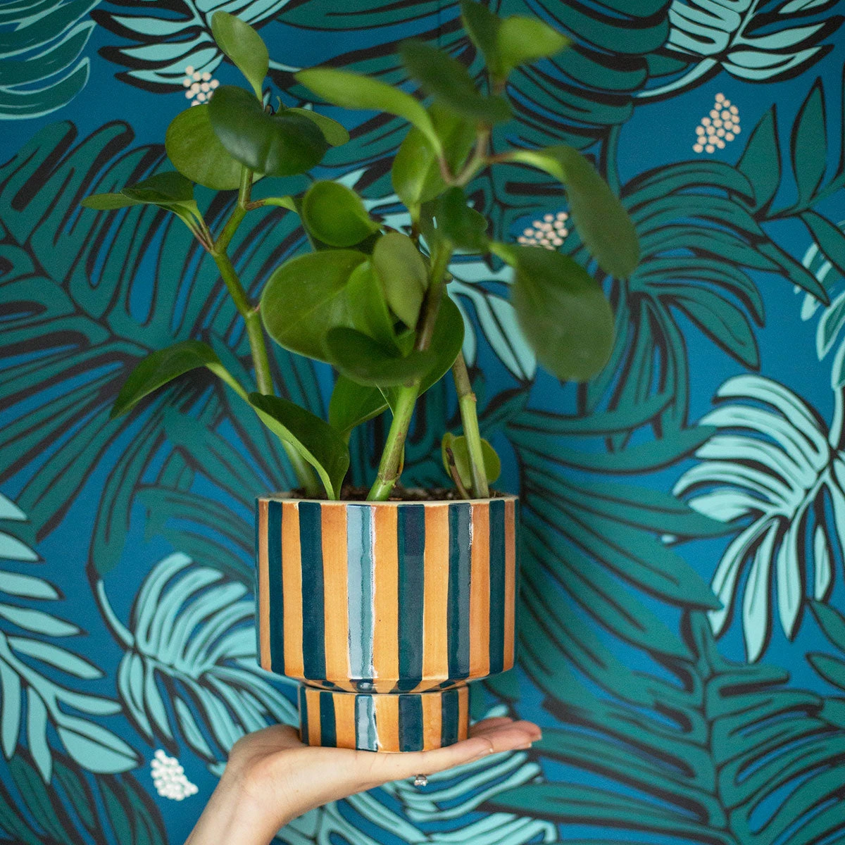 Jungalow® Aja Wallpaper In Teal By Justina Blakeney® - Surestrip 8 Jungalow® Aja Wallpaper In Teal By Justina Blakeney® - Surestrip