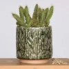 HomArt Cactus Planter Planters