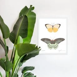 Kids Farfalle Art Print By Chloe Purpero Johnson 8 Kids Farfalle Art Print By Chloe Purpero Johnson