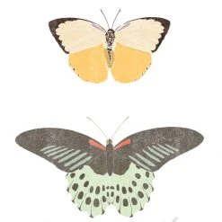 Kids Farfalle Art Print By Chloe Purpero Johnson