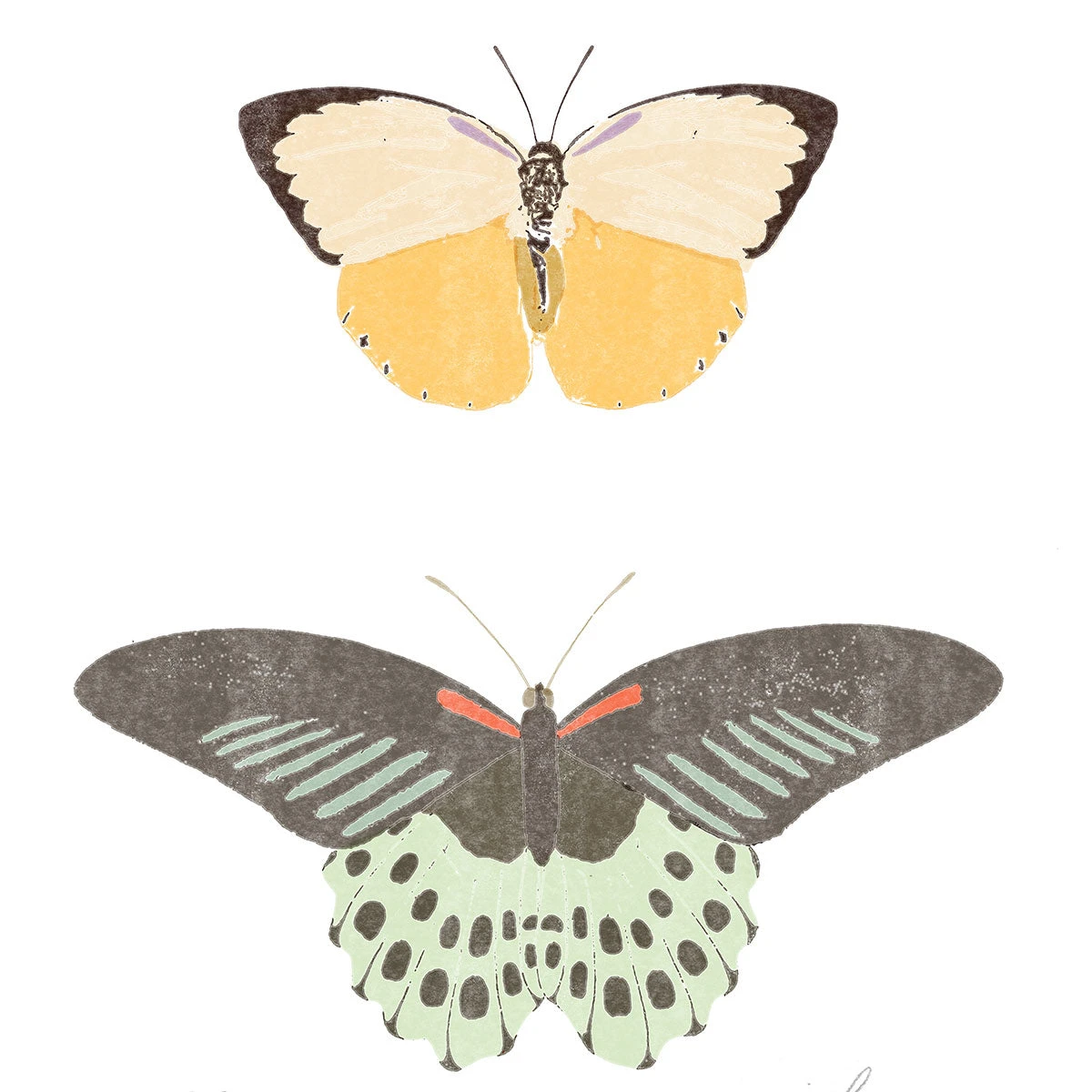 Kids Farfalle Art Print By Chloe Purpero Johnson 3 Kids Farfalle Art Print By Chloe Purpero Johnson