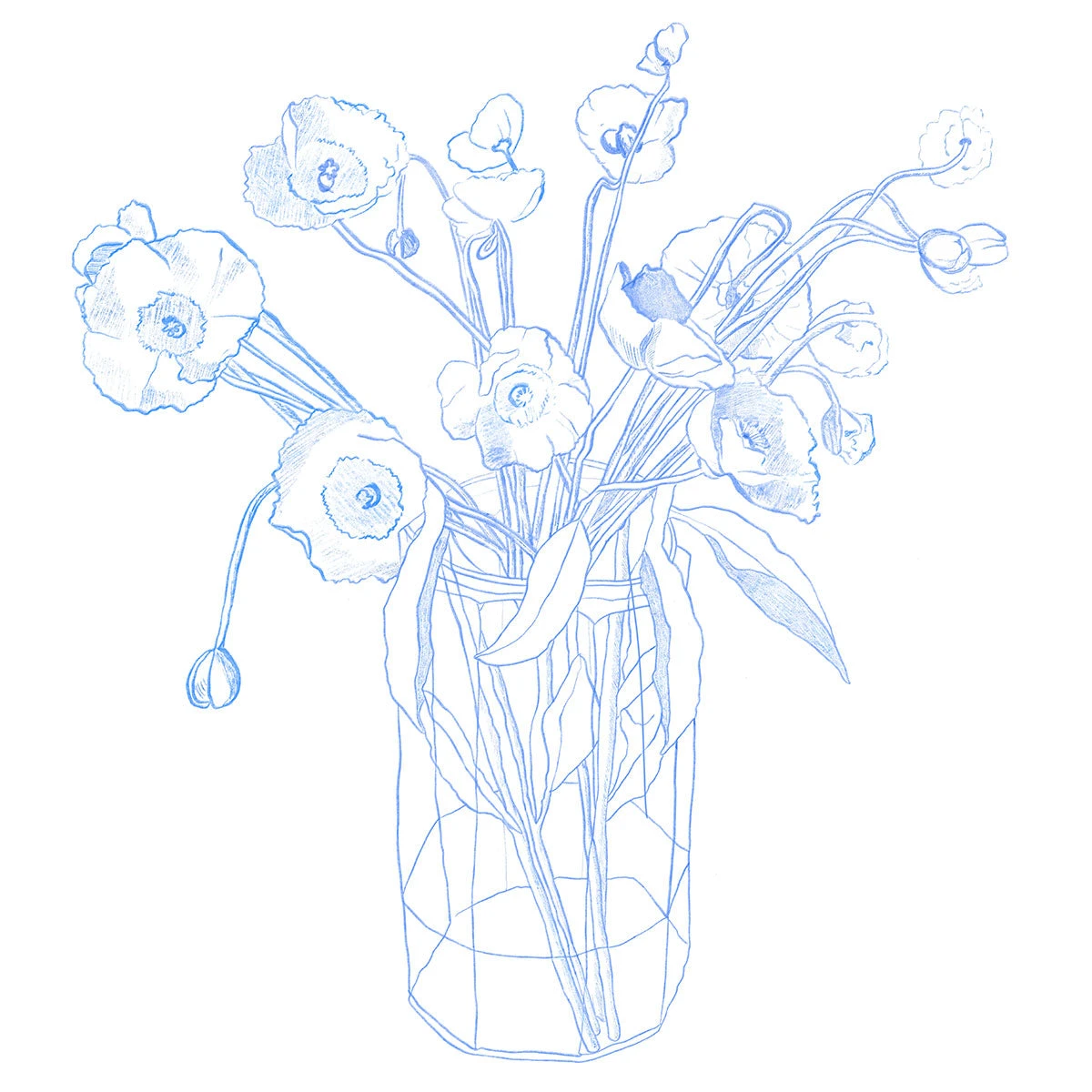 New Fleur De Papier Art Print By Chloe Purpero Johnson 3 New Fleur De Papier Art Print By Chloe Purpero Johnson