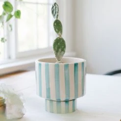 Jungalow® Kaya Shorty Ceramic Planter By Justina Blakeney™