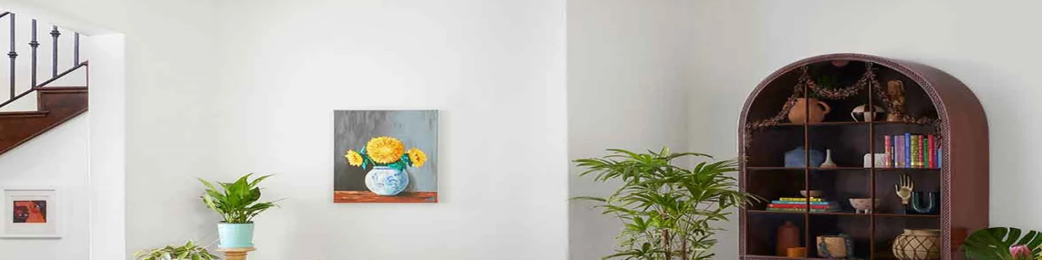 Deals Jungalow Store -Deals Jungalow Store hengfu2