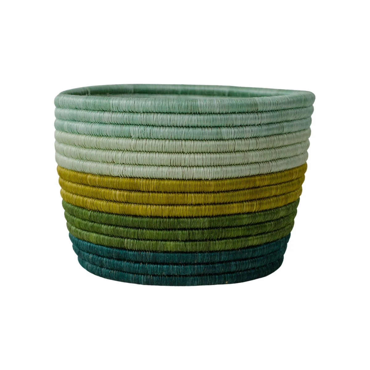AAA Green Striped Planter 3 AAA Green Striped Planter