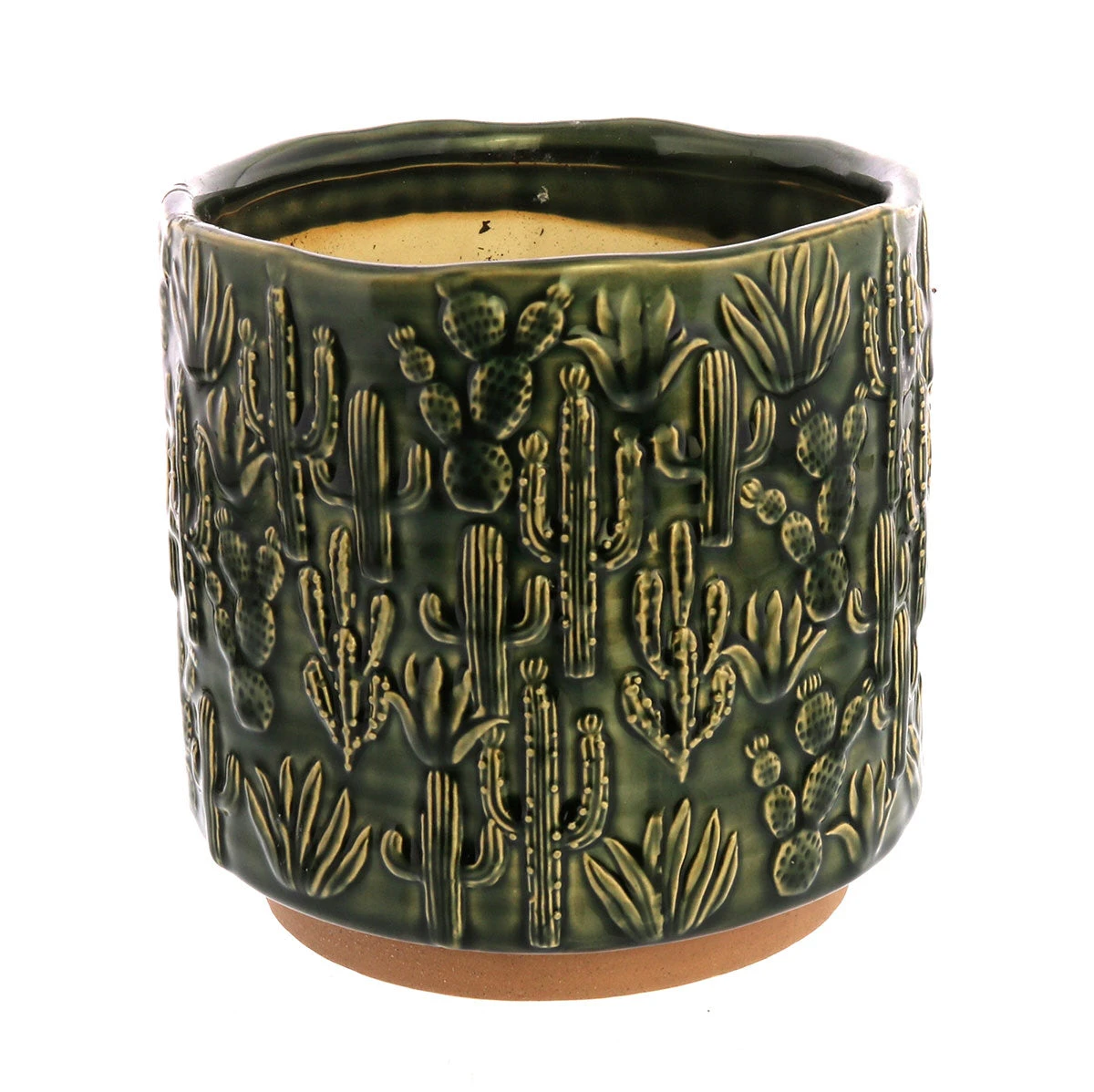 HomArt Cactus Planter Planters 4 HomArt Cactus Planter Planters
