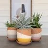 Kalalou Planters Color Dipped Planter Set