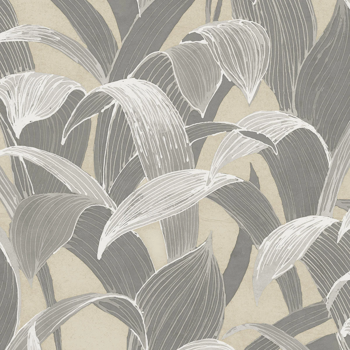 Jungalow® Cha Cha Wallpaper In Slate 4 Jungalow® Cha Cha Wallpaper In Slate